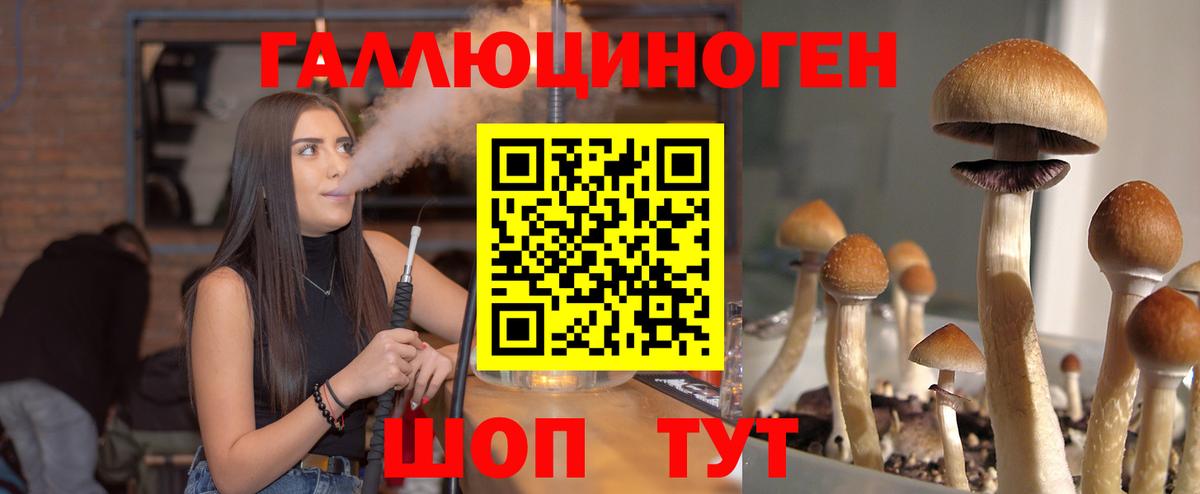 Похвистнево  Псилоцибиновые грибы Psilocybine cubensis  Галлюциногенные грибы прущие грибы  Вход с VPN 